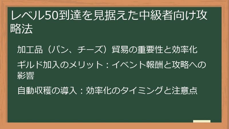 レベル50到達を見据えた中級者向け攻略法