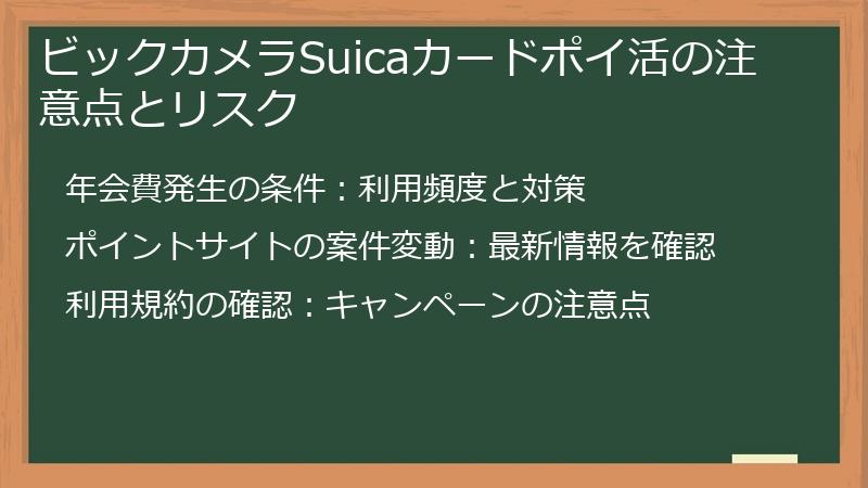 ビックカメラSuicaカードポイ活の注意点とリスク