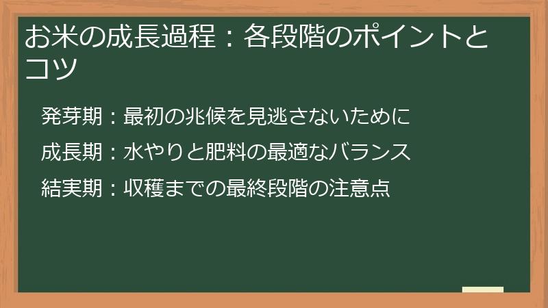お米の成長過程：各段階のポイントとコツ