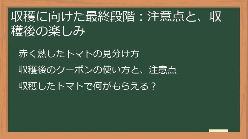 収穫に向けた最終段階：注意点と、収穫後の楽しみ