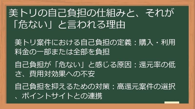 美トリの自己負担の仕組みと、それが「危ない」と言われる理由