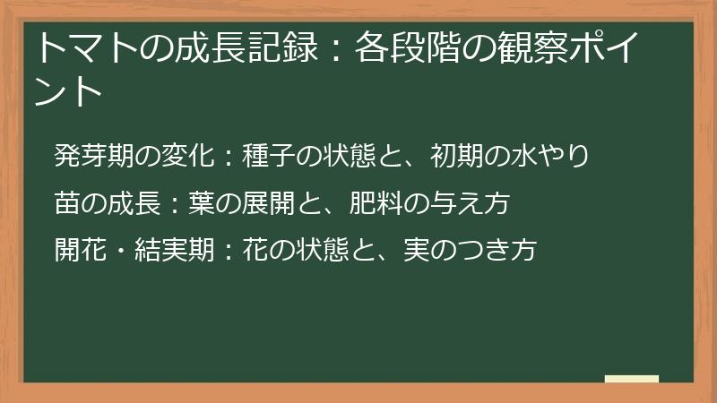 トマトの成長記録：各段階の観察ポイント